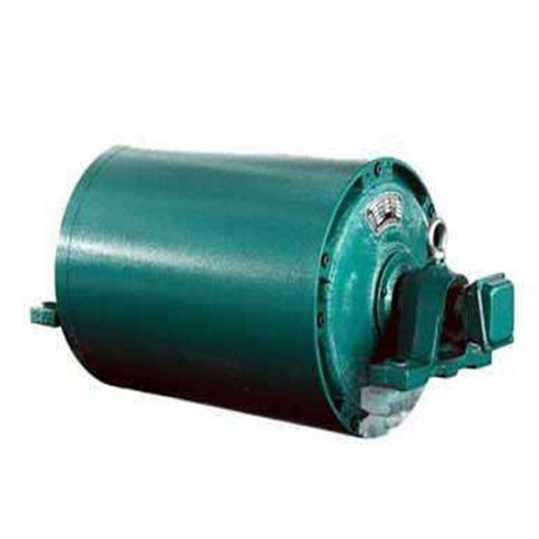 山東電動(dòng)滾筒廠家